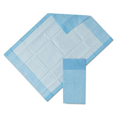 Protection Plus Disposable Underpads, 17 x 24, Blue,