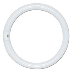 Circleline Fluorescent Tube, 22 Watts
